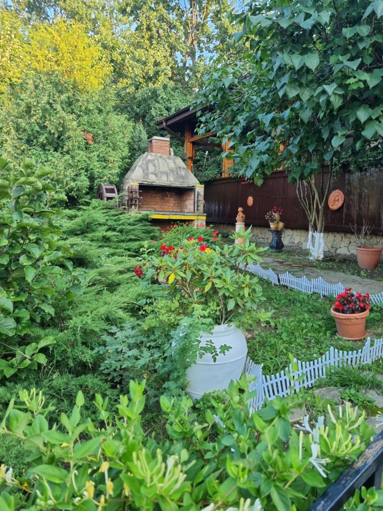 Casa Boiereasca Iasi Exterior foto