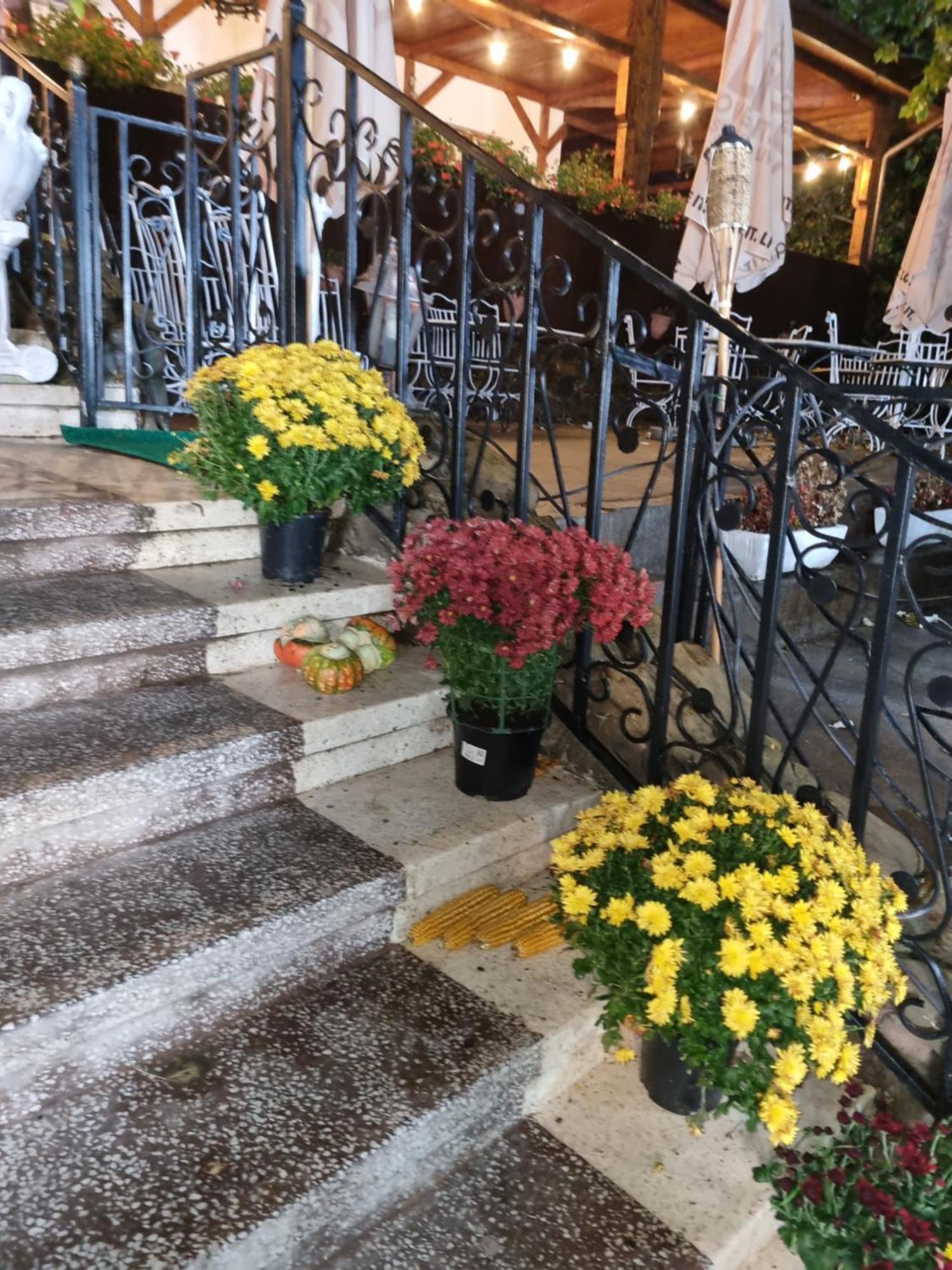 Casa Boiereasca Iasi Exterior foto